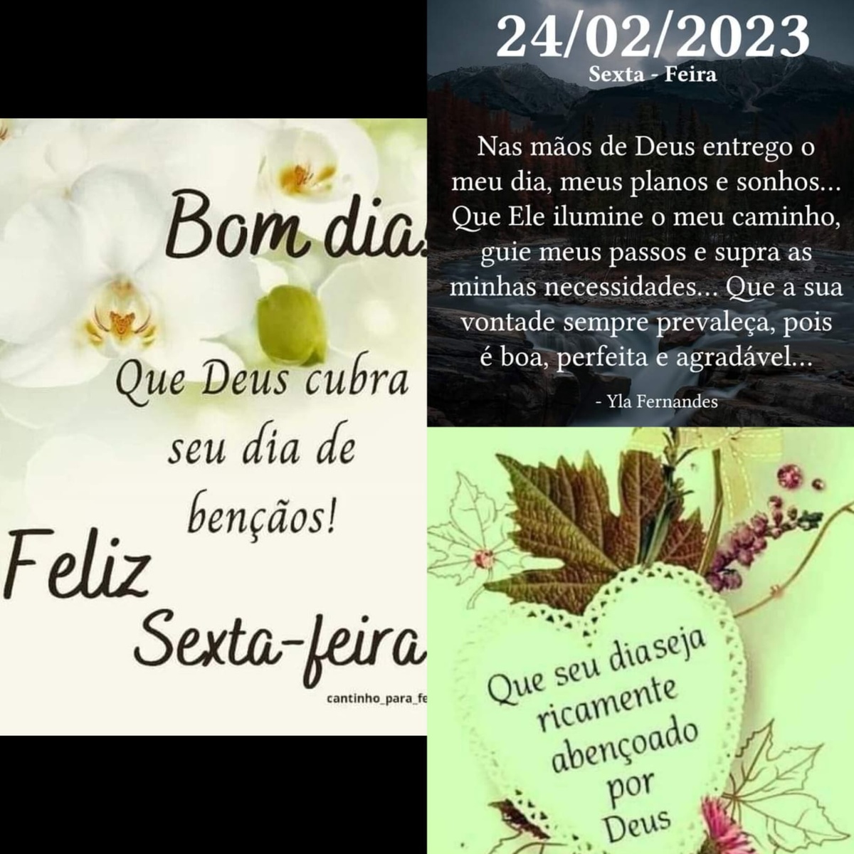 Pensamento do dia