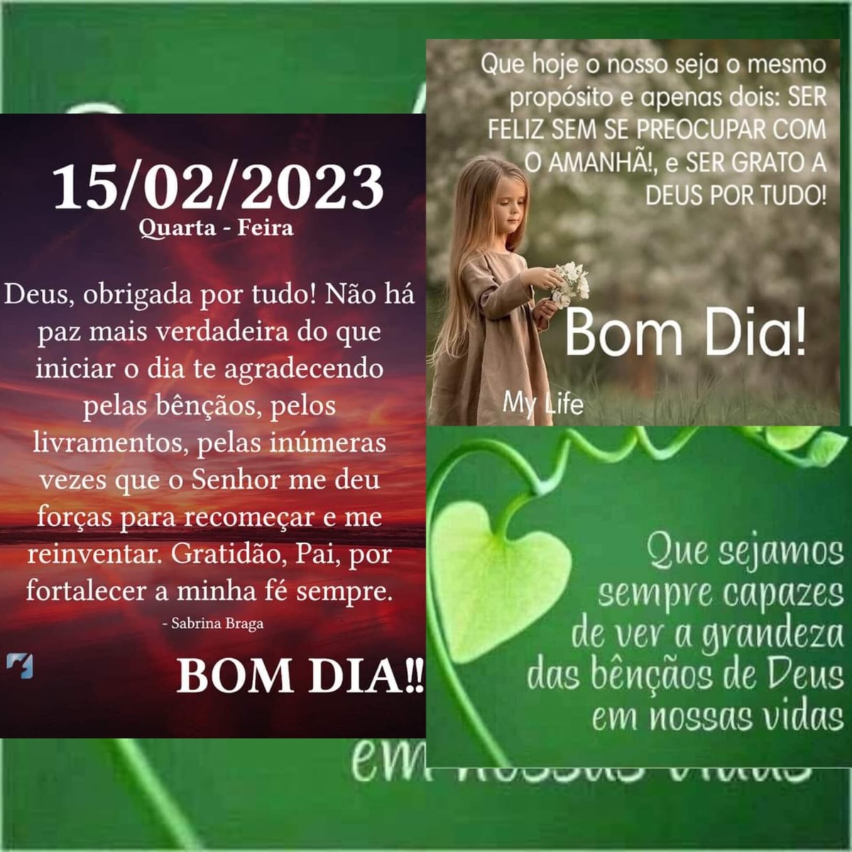 Pensamento do dia