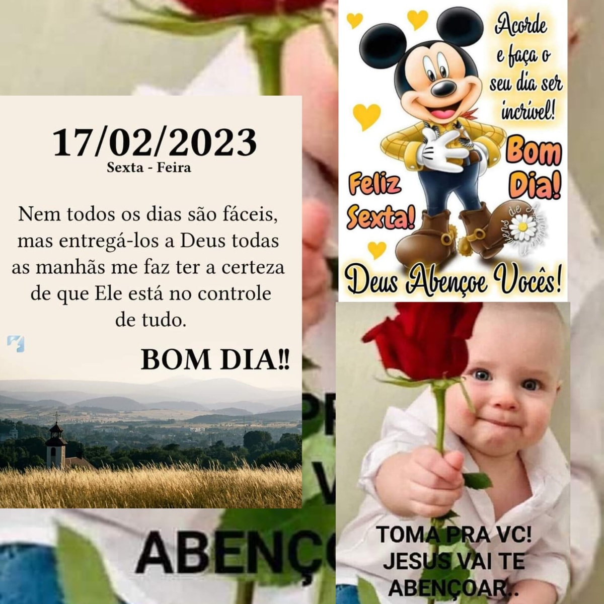 Pensamento do dia