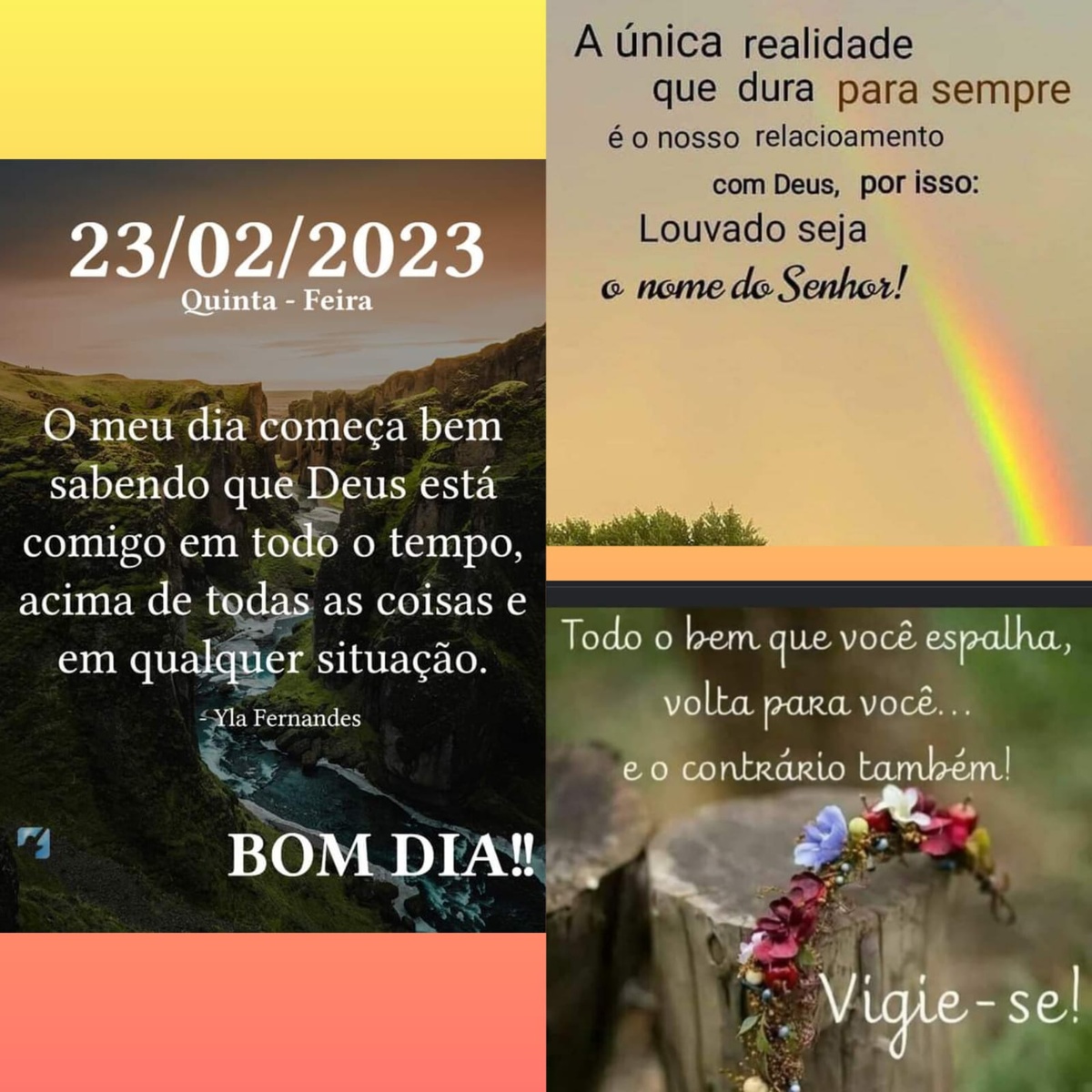 Pensamento do dia