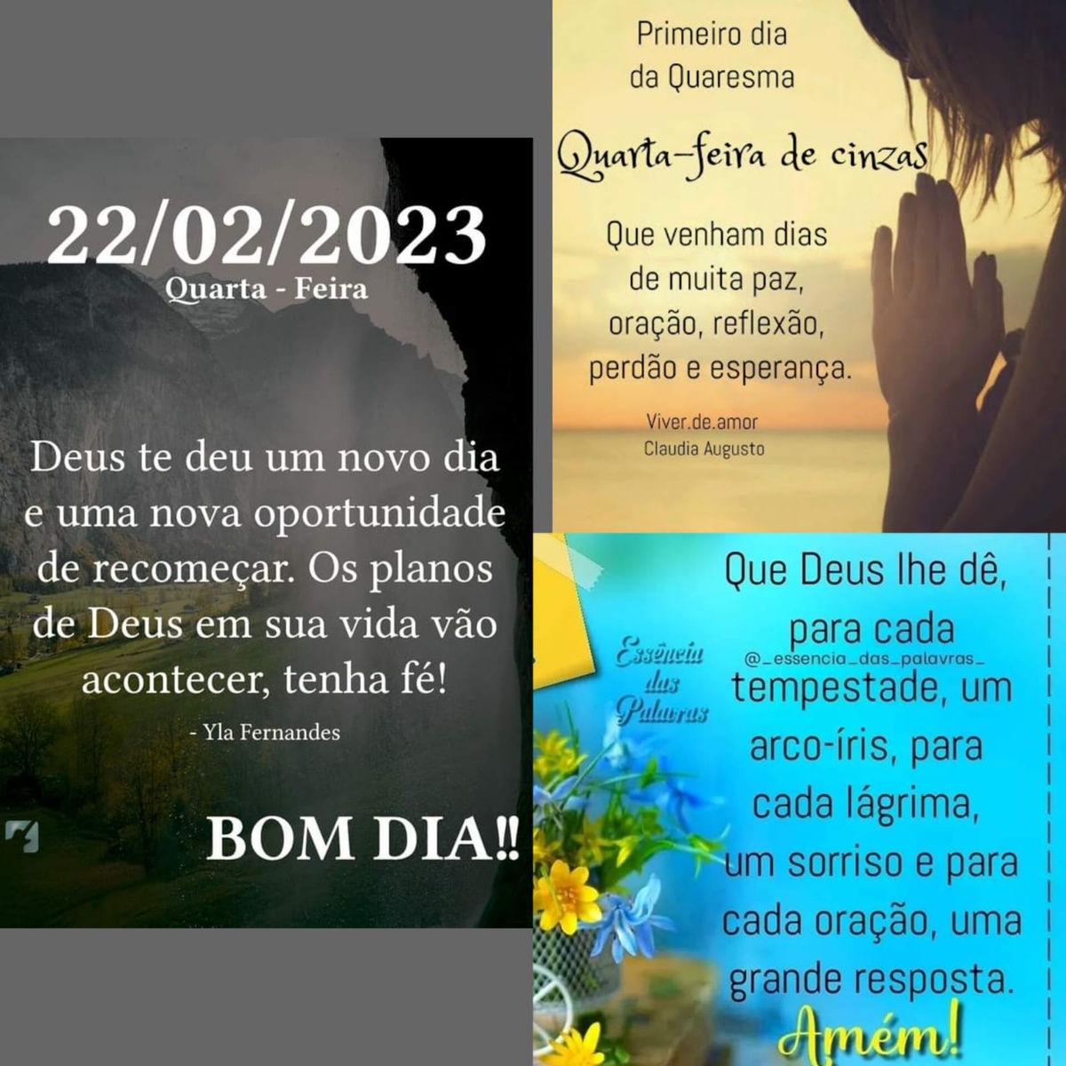 Pensamento do dia
