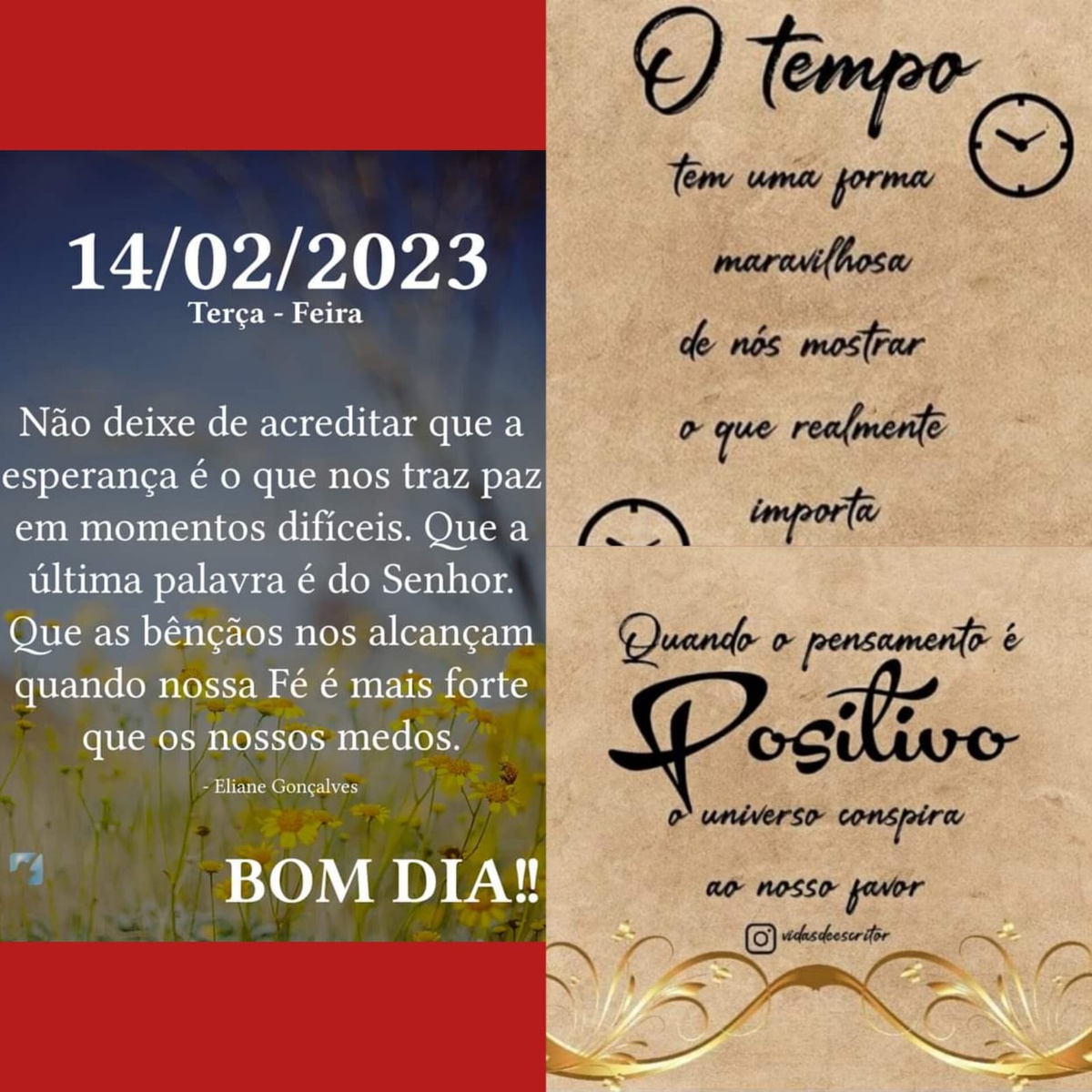 Pensamento do dia