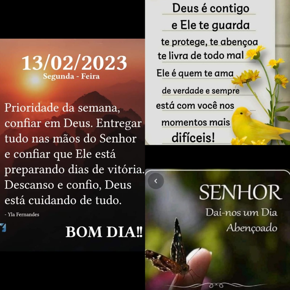 Pensamento do dia