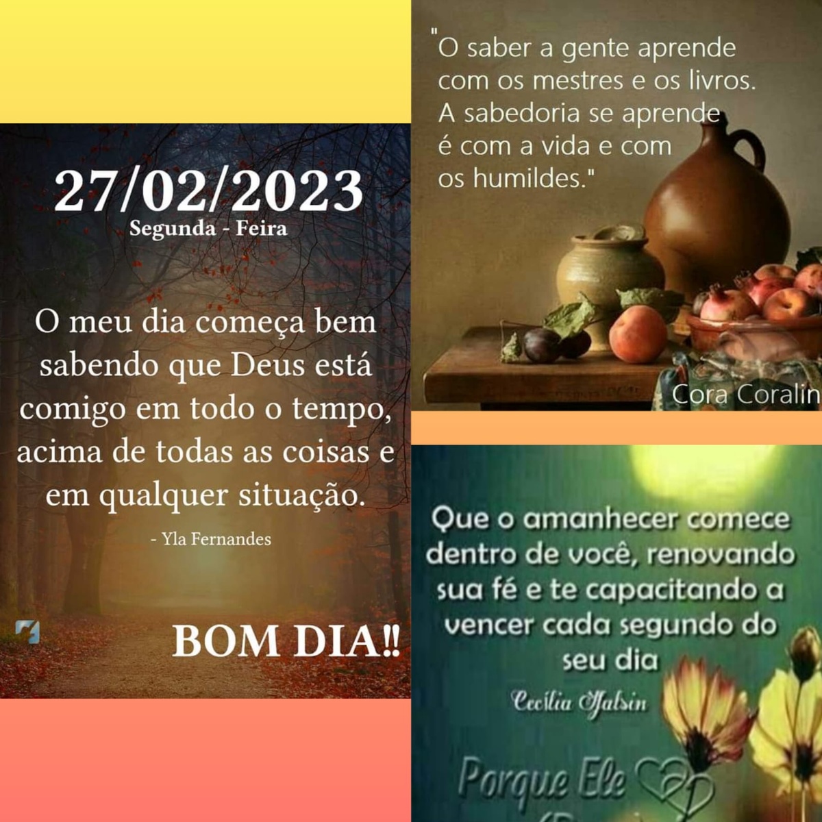 Pensamento do dia