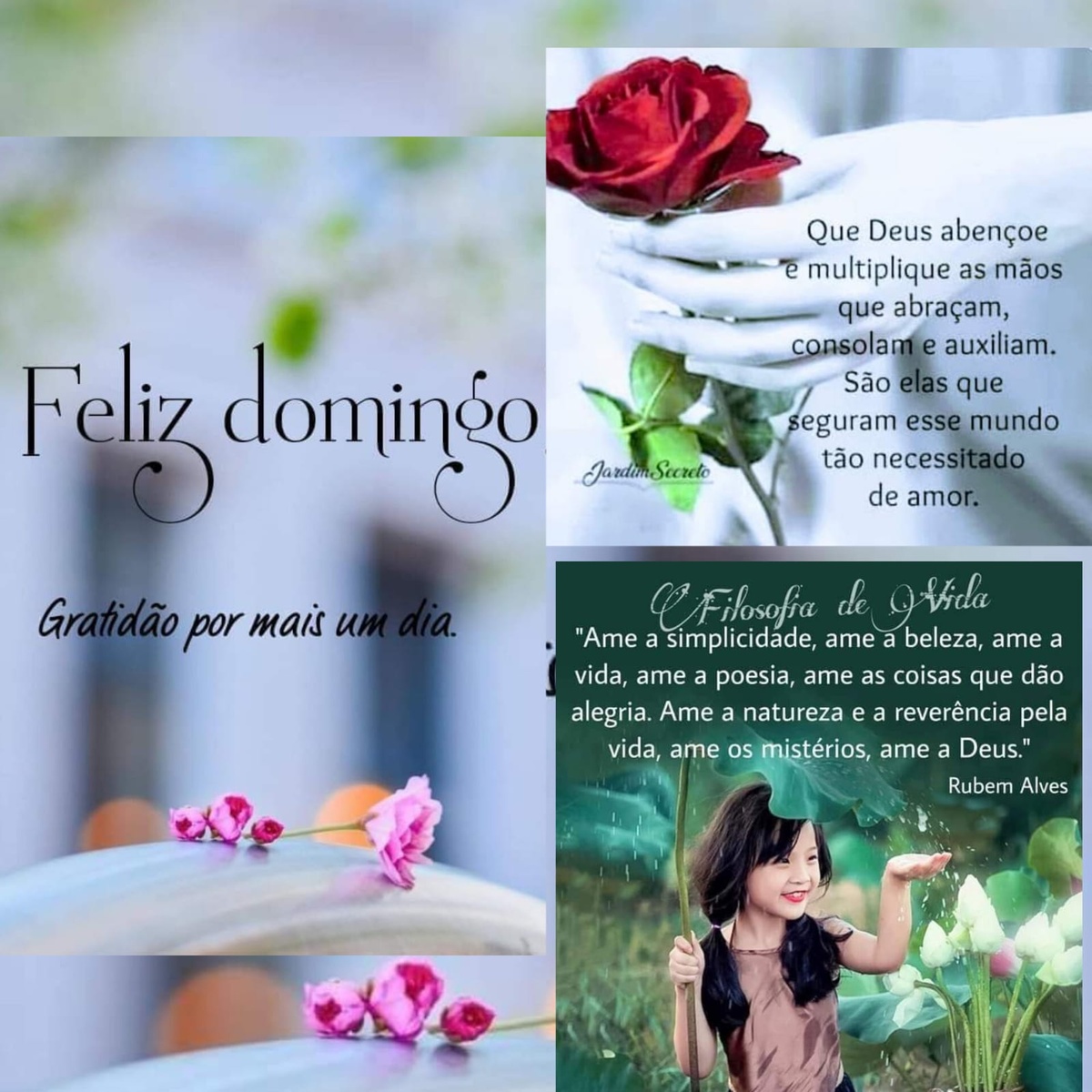 Pensamento do dia