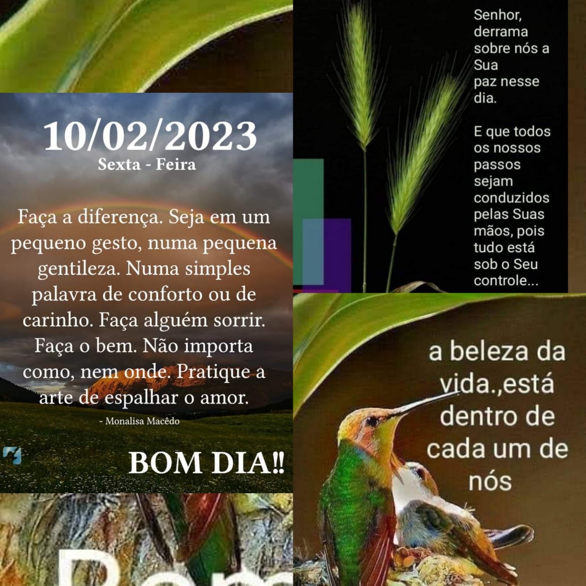 Pensamento do dia