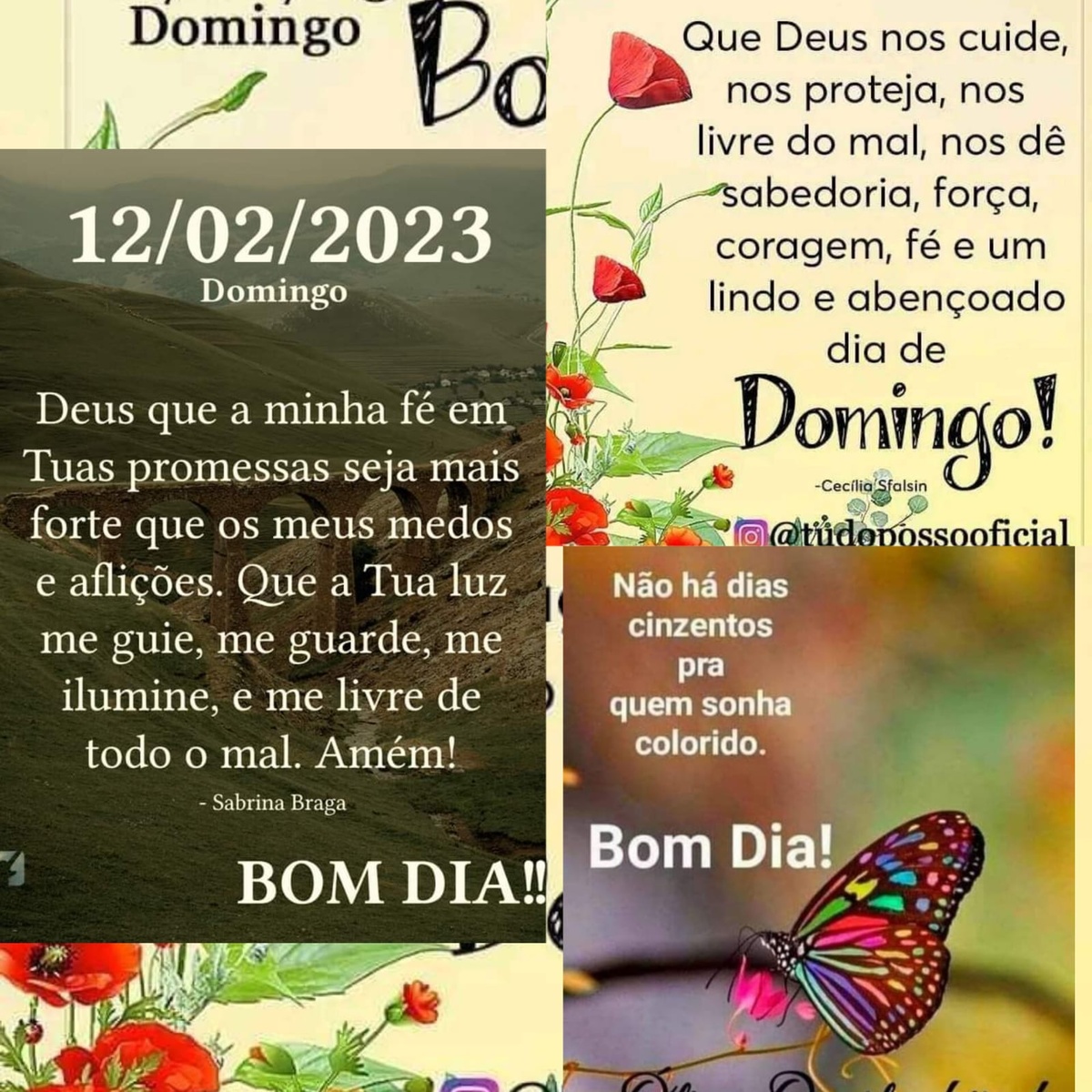 Pensamento do dia
