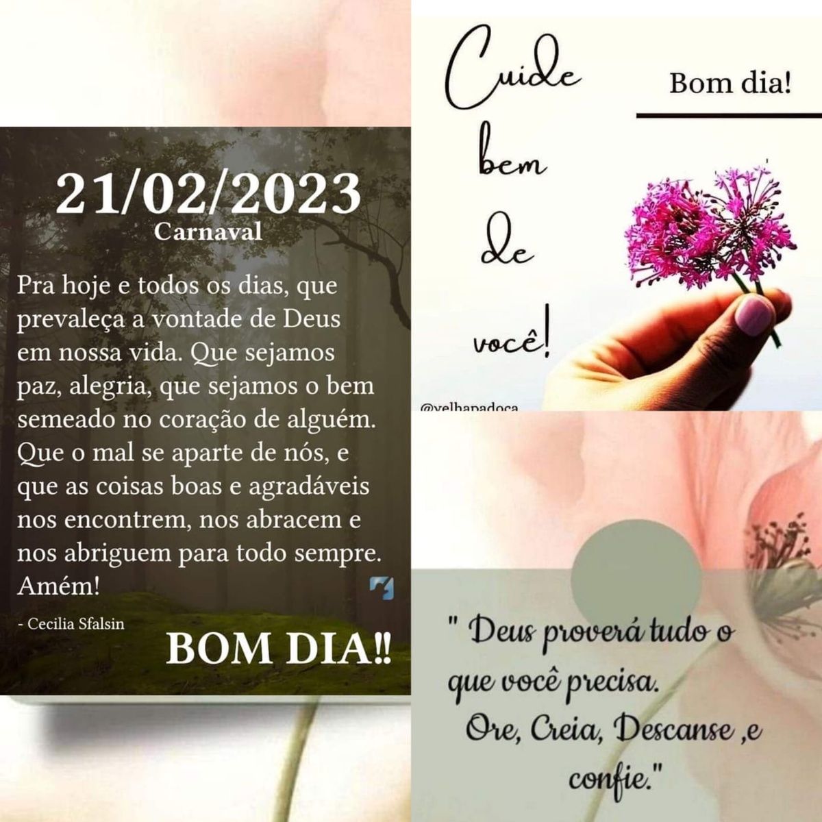 Pensamento do dia