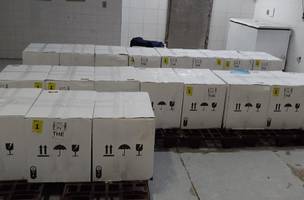 Vacinas da Pfizer Baby e Pfizer para crianças chegam ao Piauí (Foto: Divulgação)