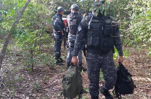 A caminhonete estava abandonado em um trecho da BR-226 (Foto: Divulgação / PMMA)