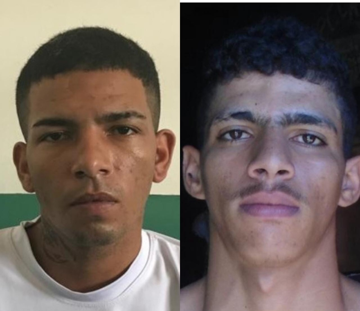 Antônio Wesley Ferreira de Sousa e Nailson de Sousa Braz