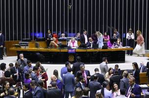 Câmara aprova criação de pensão especial a filhos das vítimas de feminicídio (Foto: Vinicius Loures/Câmara dos Deputados)