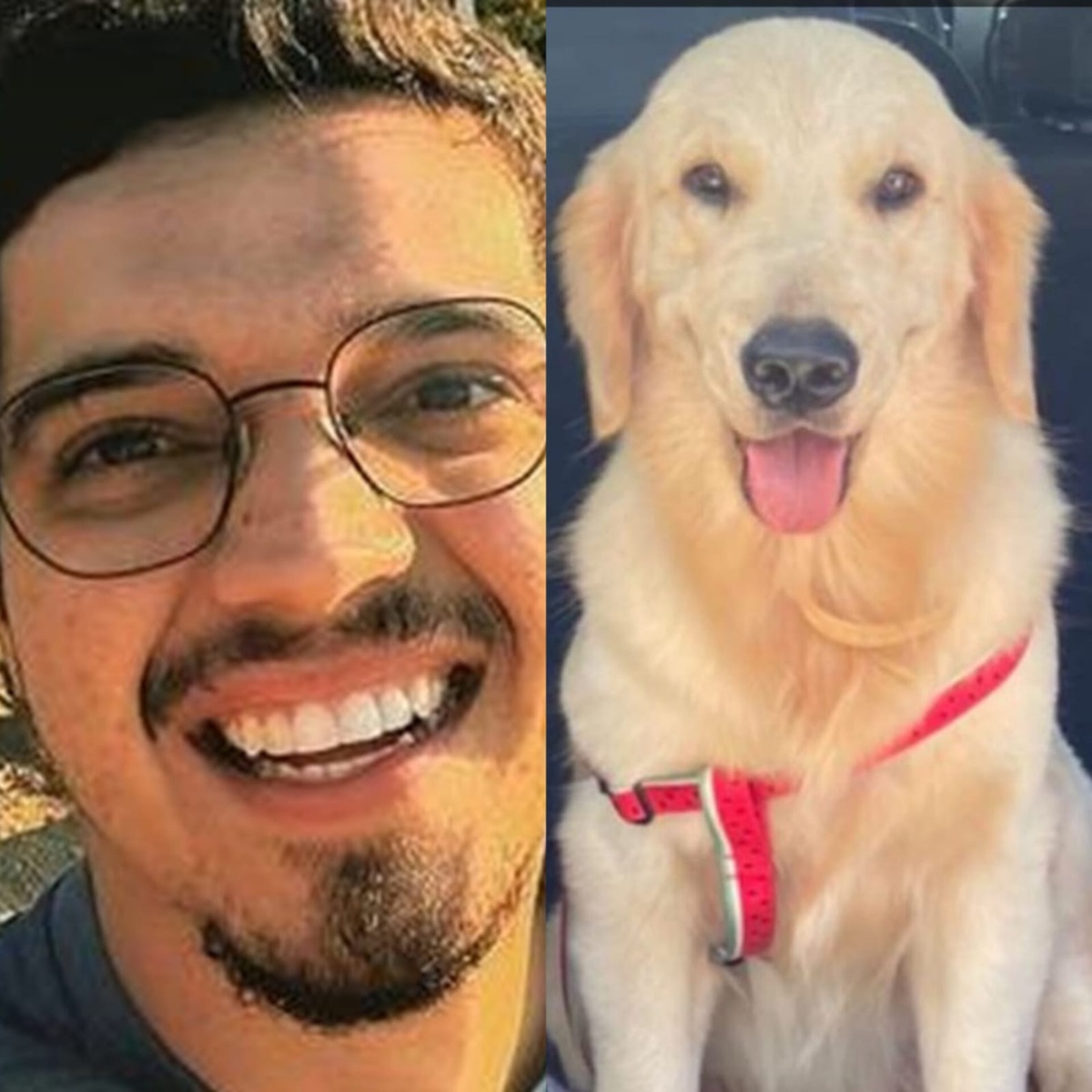Família do médico que morreu em acidente pede ajuda para encontrar cachorra