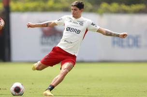 Flamengo se prepara para enfrentar o Fluminense (Foto: Gilvan de Souza - CRF)