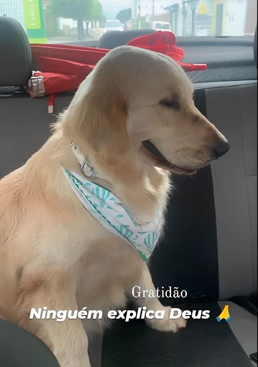 Lua foi encontrada depois de retornar ao local do acidente.