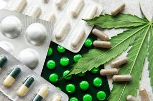 Medicamento a base de canabidiol (Foto: Reprodução)