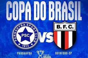 Parnahyba e Botafogo se enfrentam pela 1ª rodada do Brasileirão (Foto: Reprodução/Instagram)