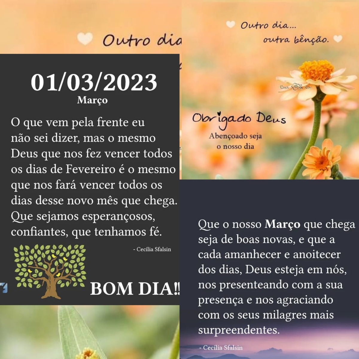 Pensamento do dia
