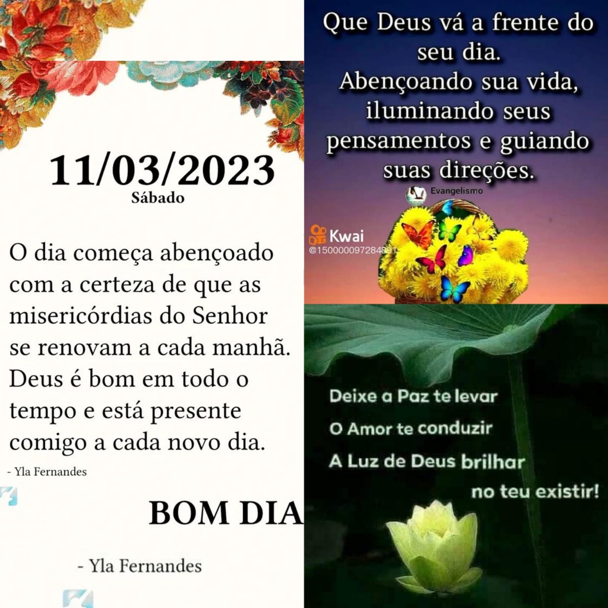 Pensamento do dia
