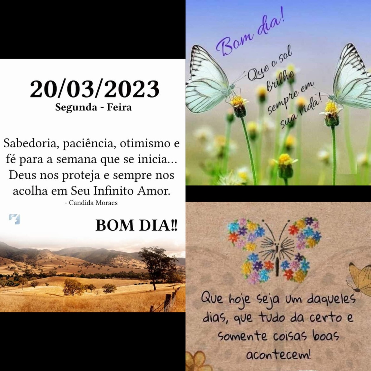 Pensamento do dia