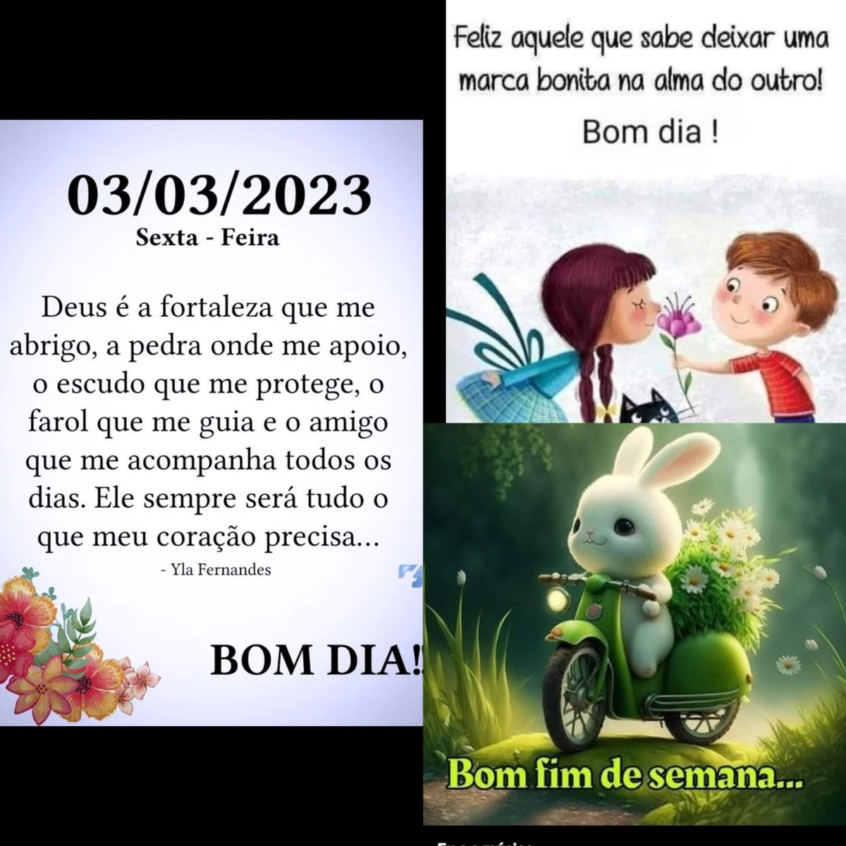 Pensamento do dia