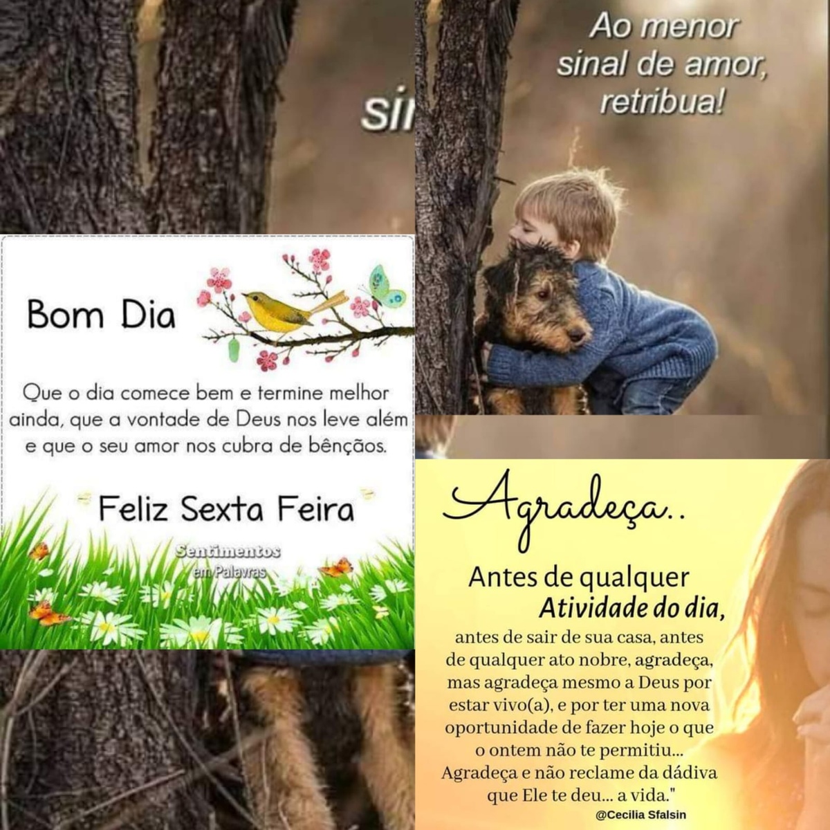 Pensamento do dia