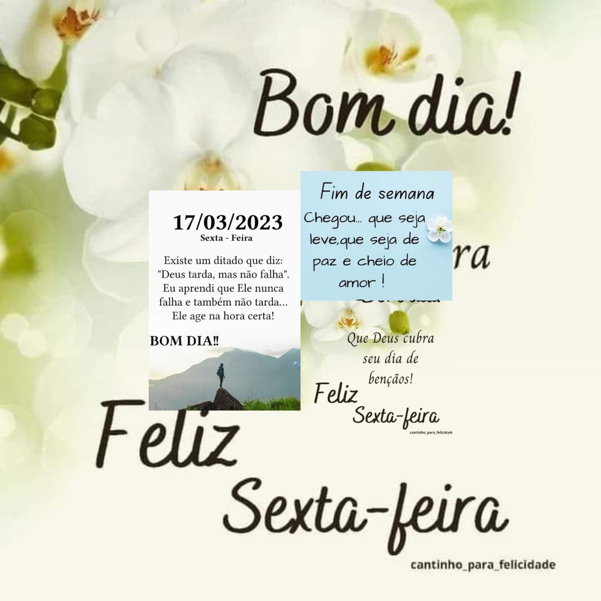 Pensamento do dia