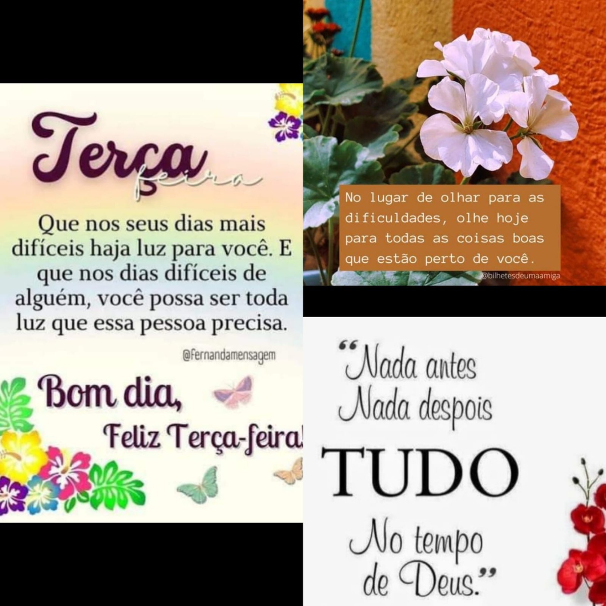 Pensamento do dia