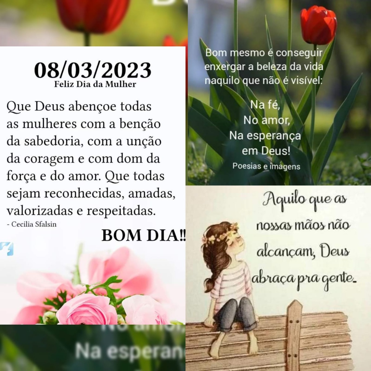 Pensamento do dia
