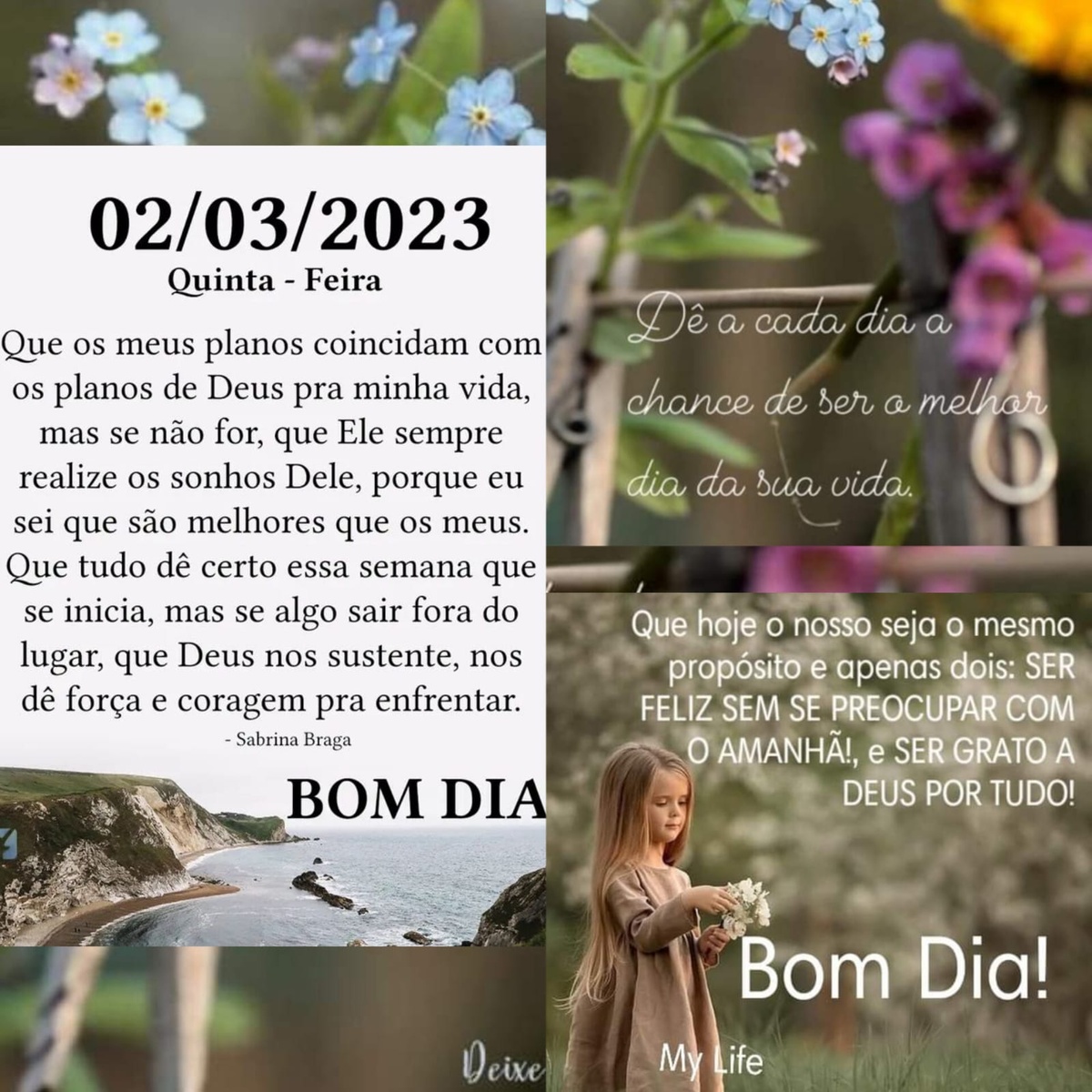 Pensamento do dia