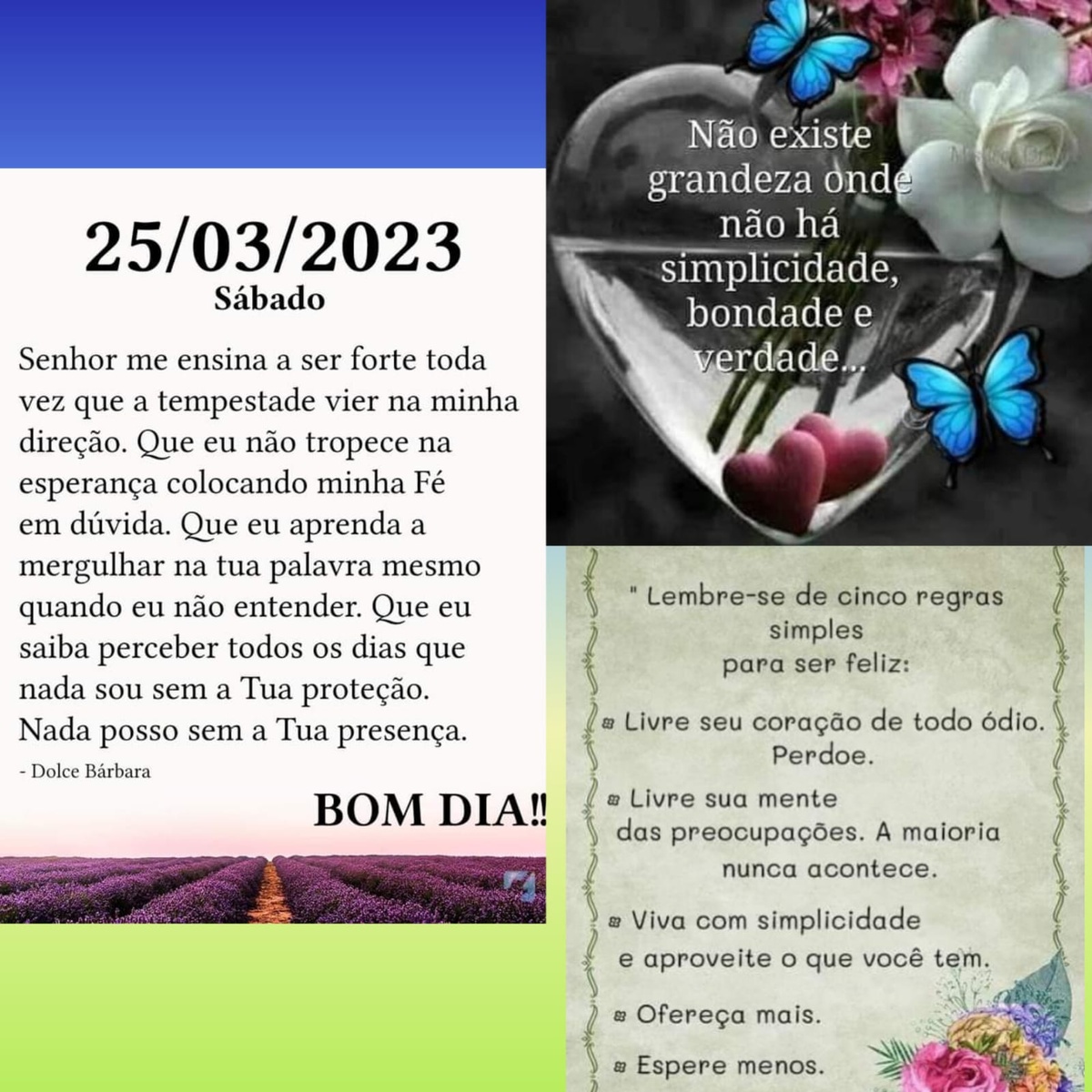 Pensamento do dia
