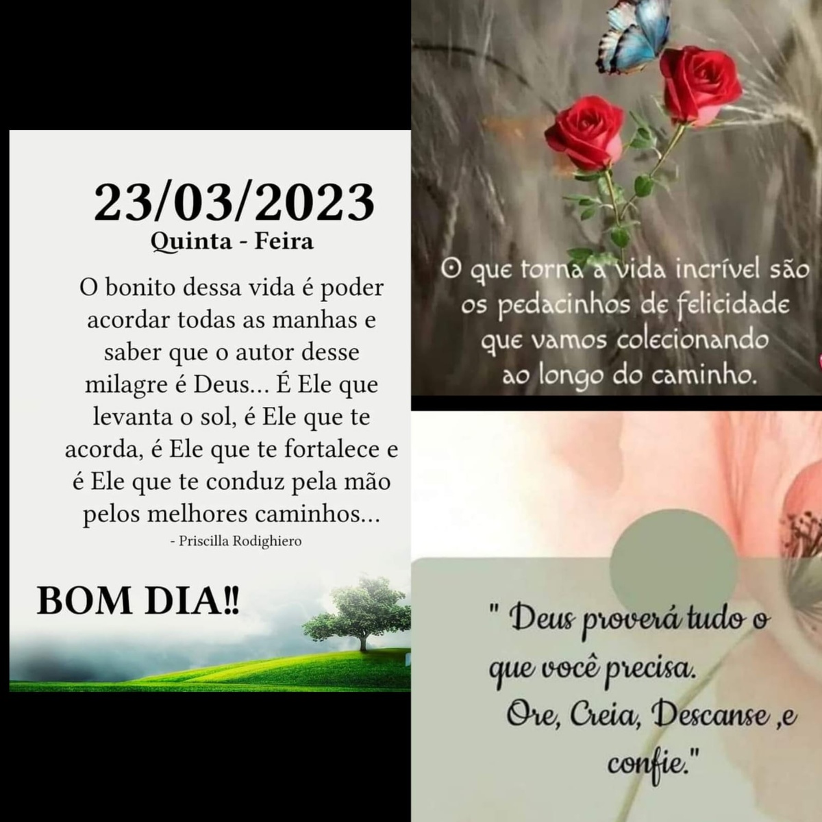 Pensamento do dia