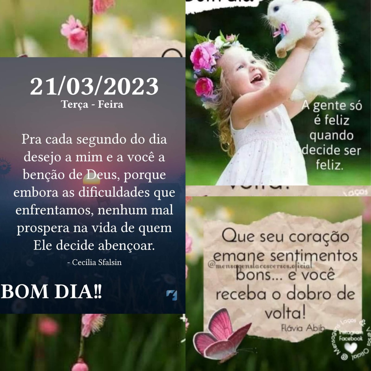 Pensamento do dia