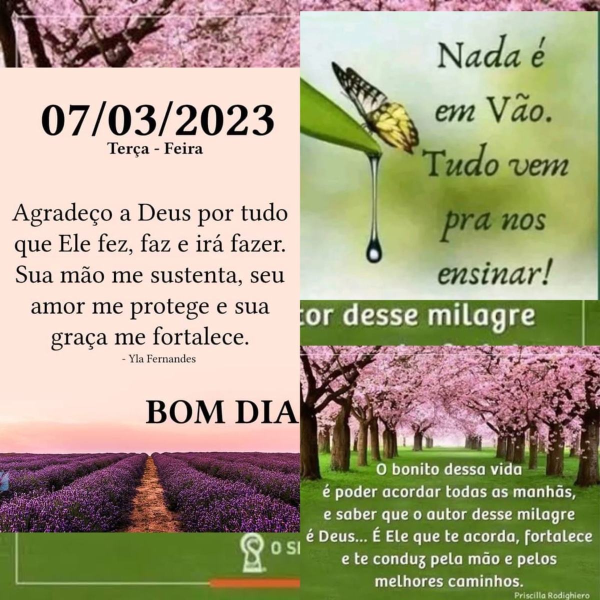 Pensamento do dia