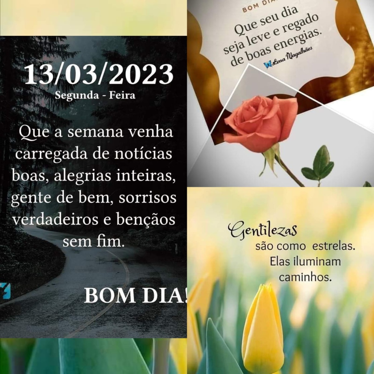Pensamento do dia