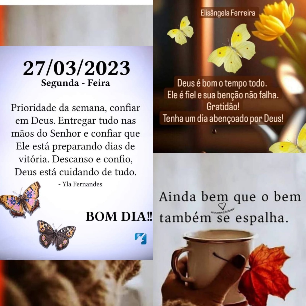 Pensamento do dia