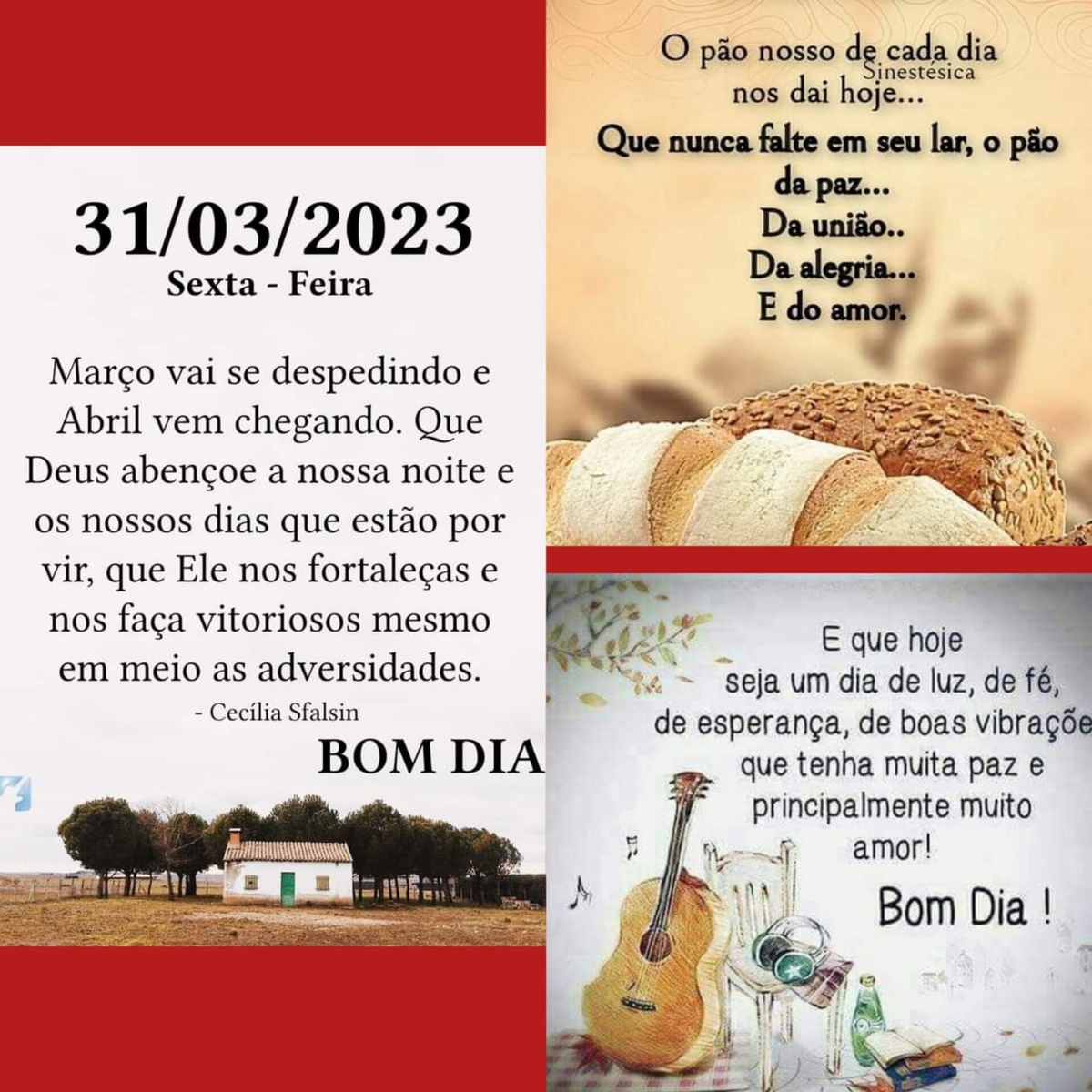 Pensamento do dia