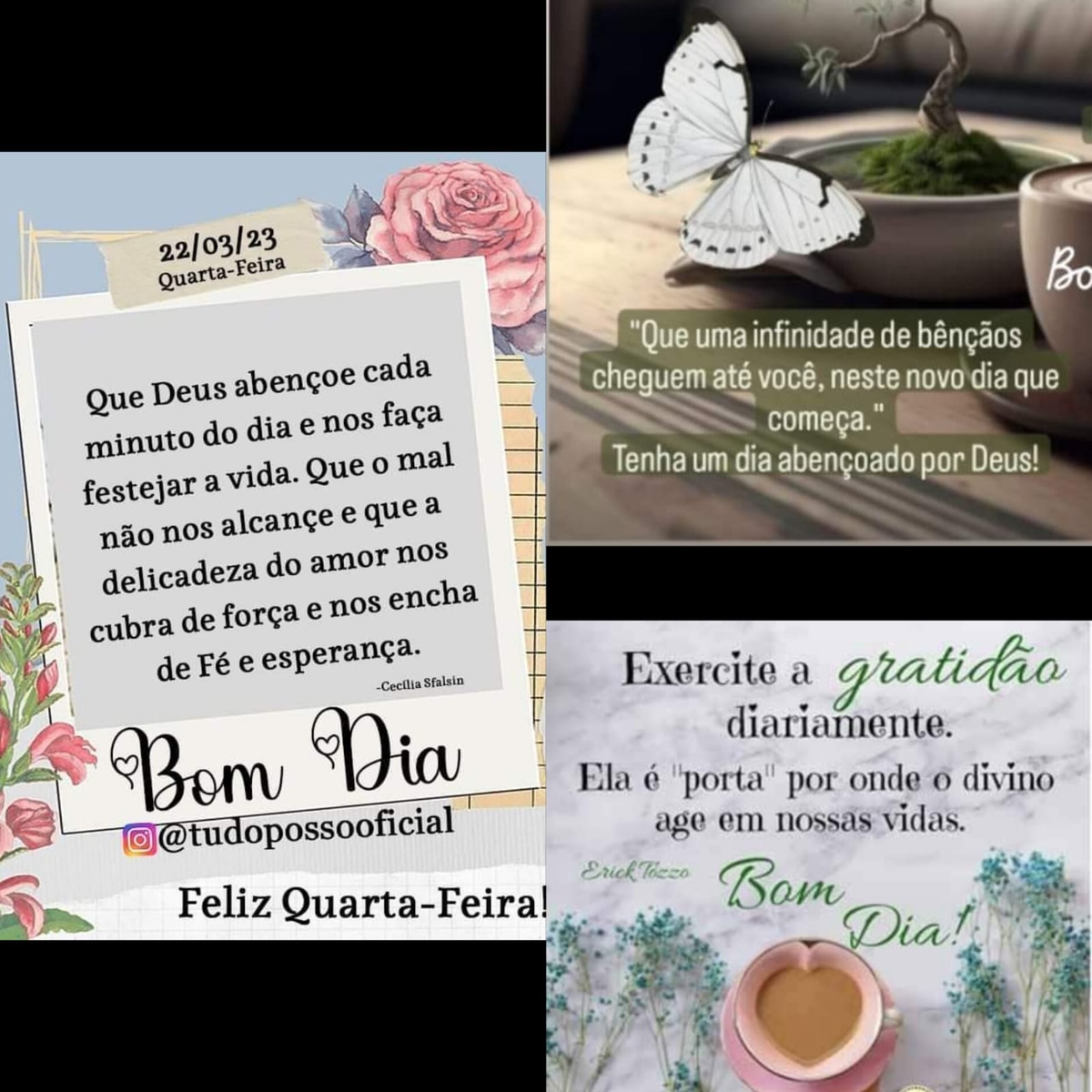 Pensamento do dia
