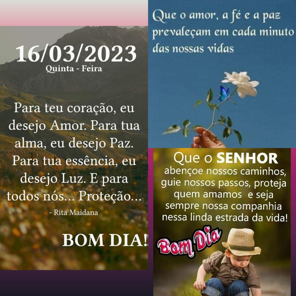 Pensamento do dia