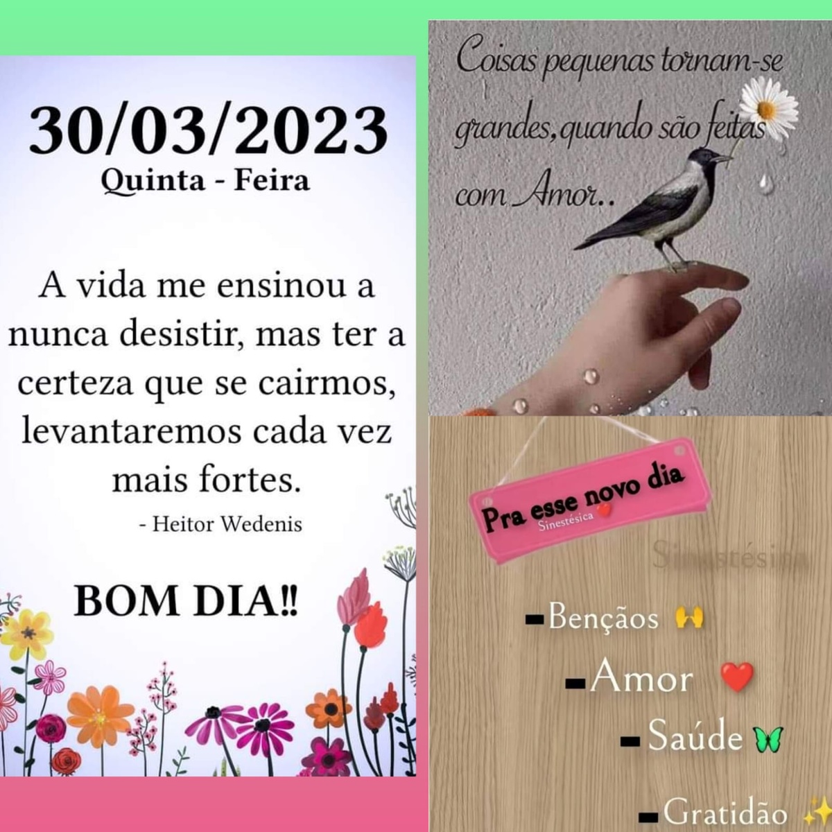 Pensamento do dia
