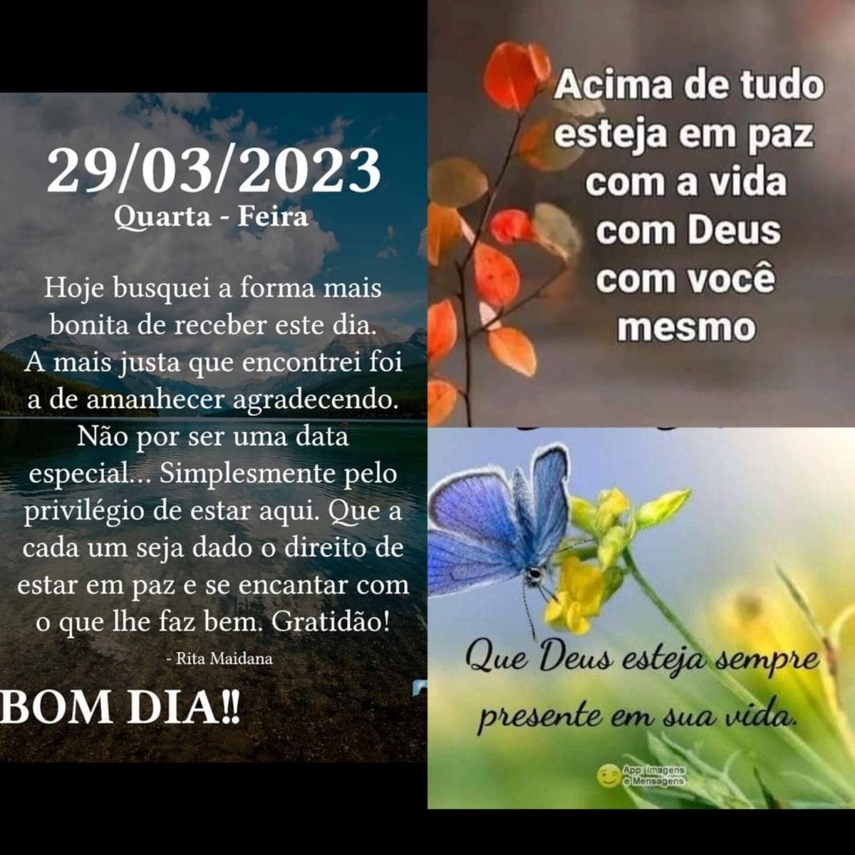 Pensamento do dia