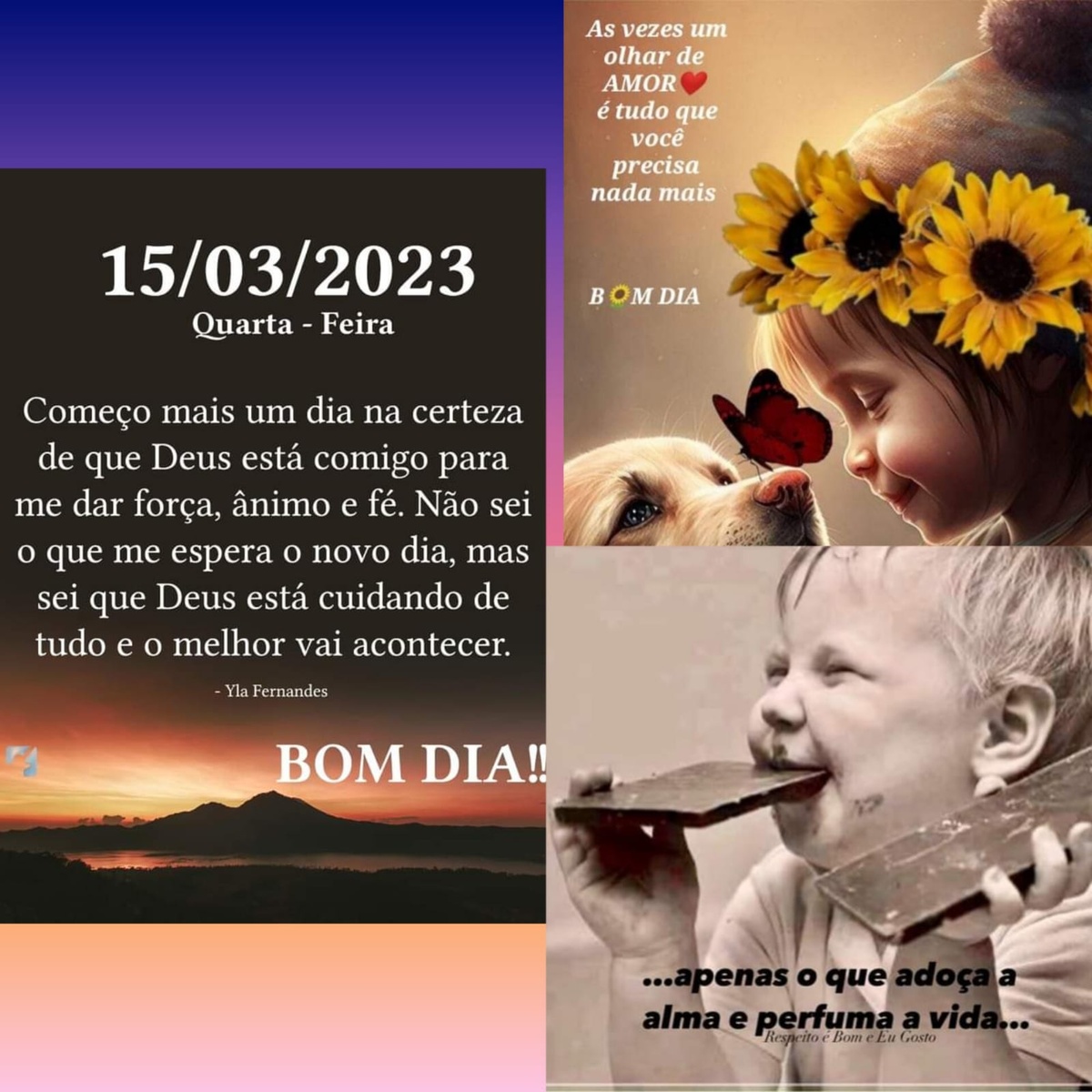 Pensamento do dia