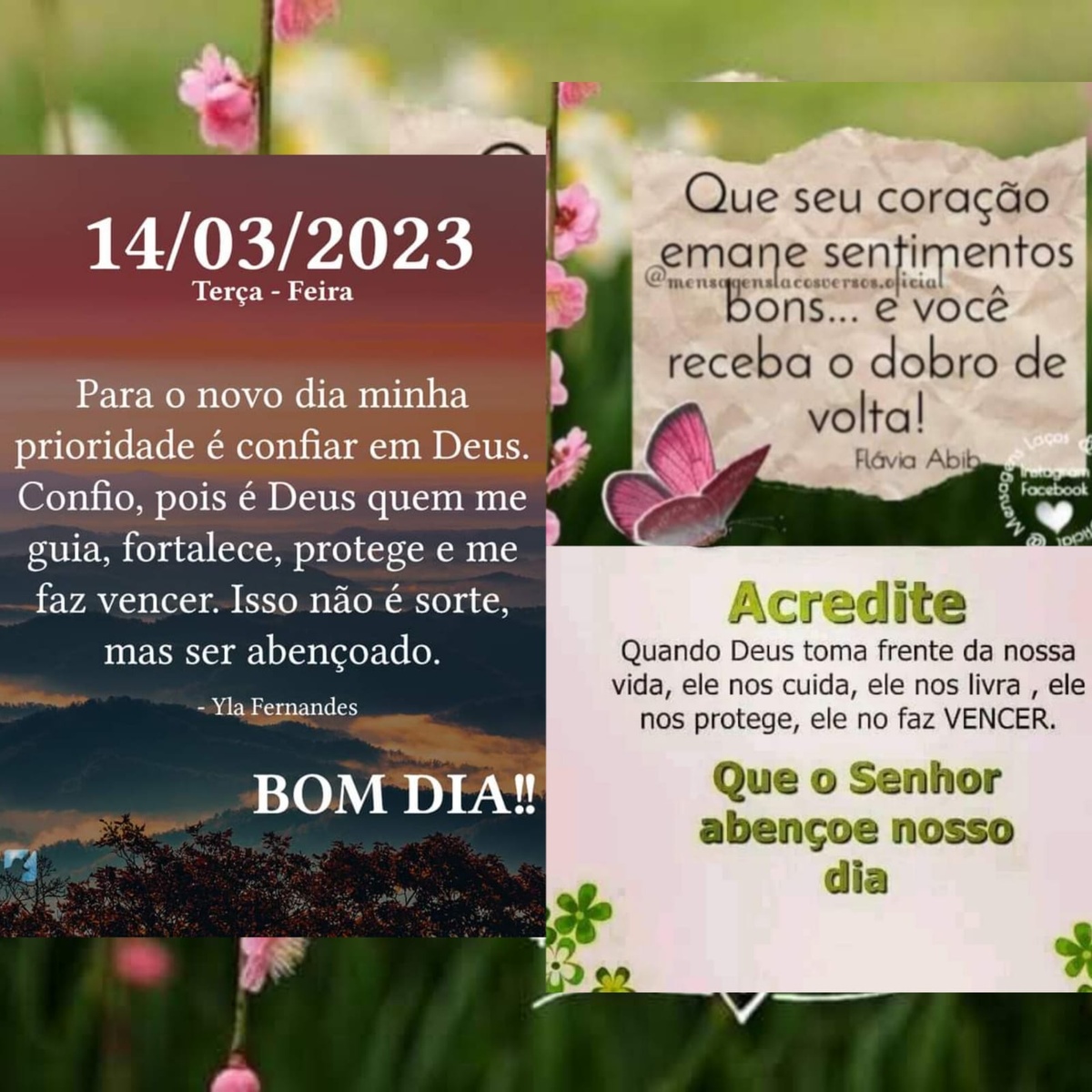 Pensamento do dia