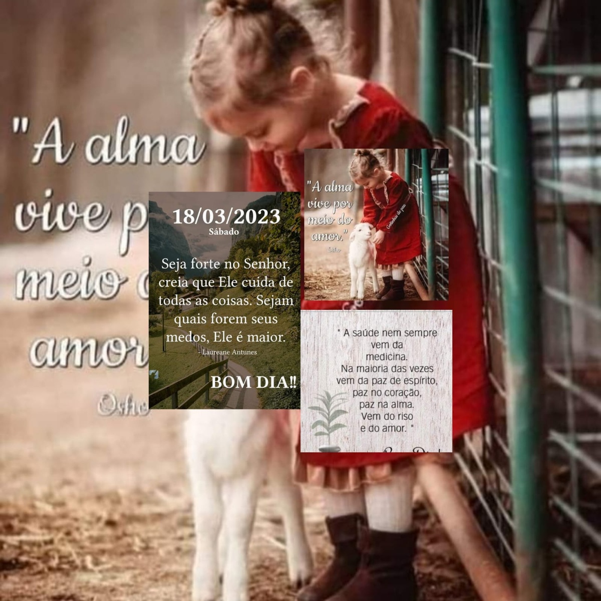Pensamento do dia