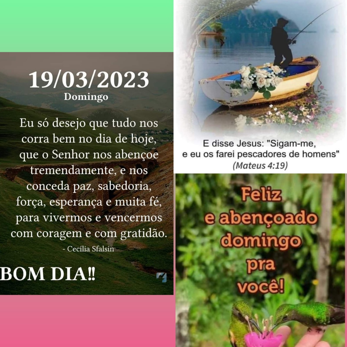 Pensamento do dia