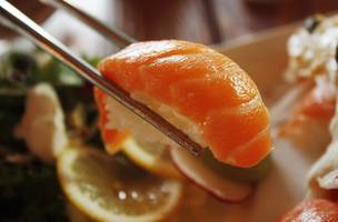 Salmão (Foto: Pixabay)