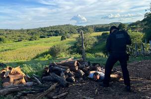 Acusado de matar comerciante em Picos é preso em Paquetá (Foto: Polícia Civil)