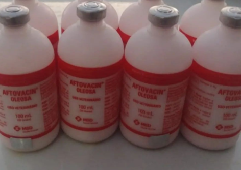 Adapi apreende 400 doses de vacinas vencidas contra a Febre Aftosa