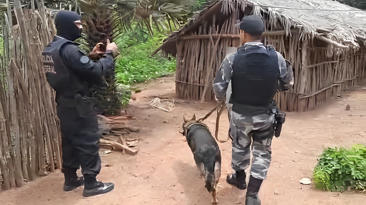 As buscas contaram com ajuda de cães farejadores