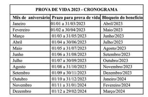 Cronograma Prova de Vida (Foto: Governo do Piauí/Divulgação)